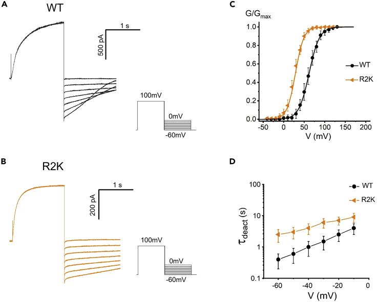 Figure 3