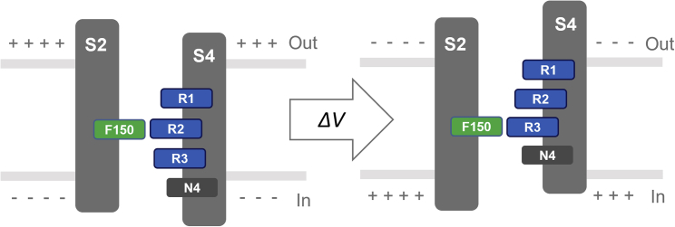 Figure 6