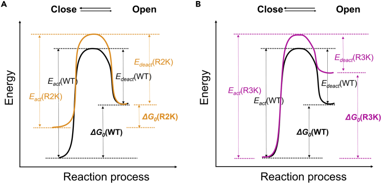 Figure 5