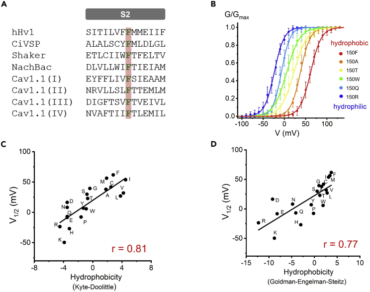 Figure 1