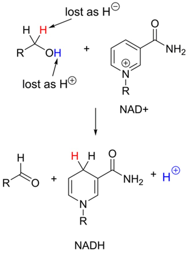 Figure 20