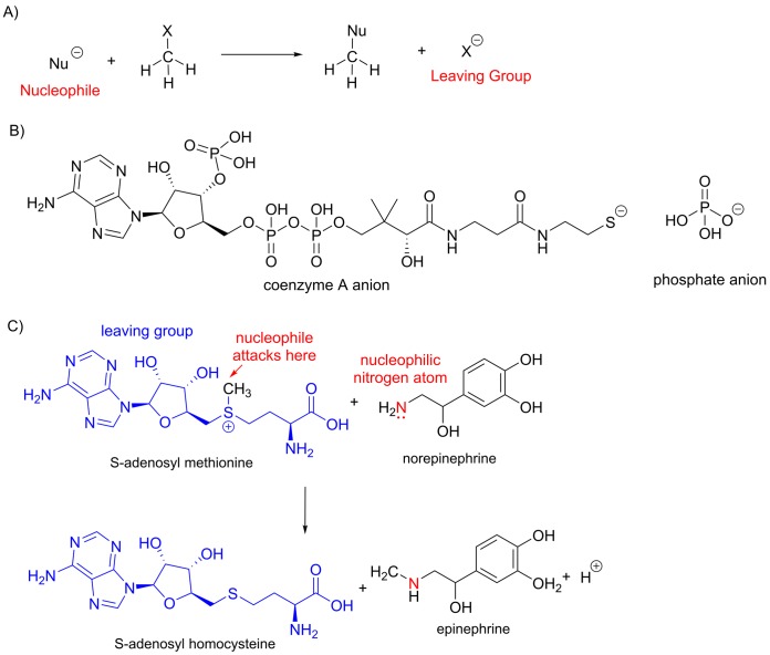 Figure 14