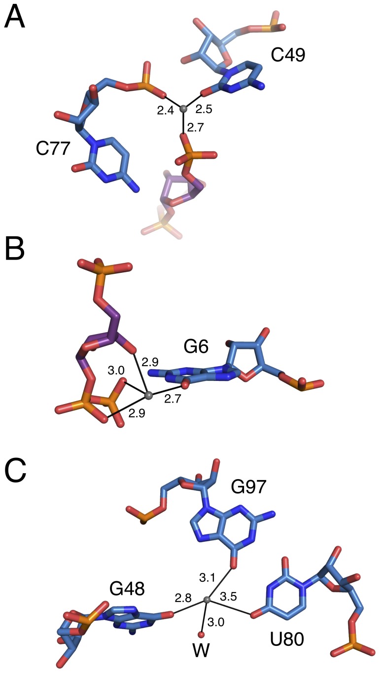 Figure 3—figure supplement 1.