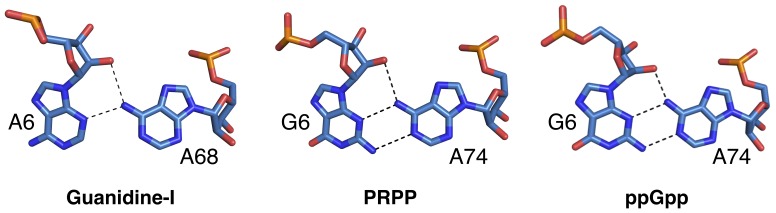 Figure 6—figure supplement 1.