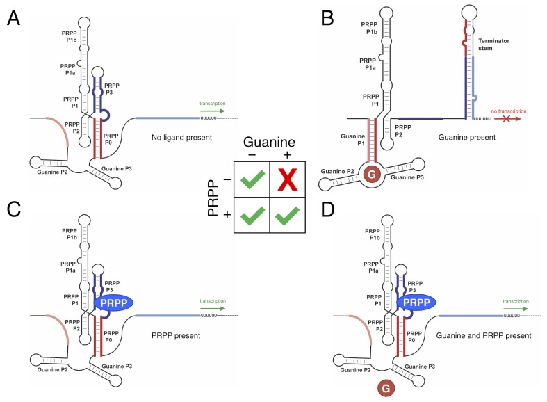 Figure 6—figure supplement 2.