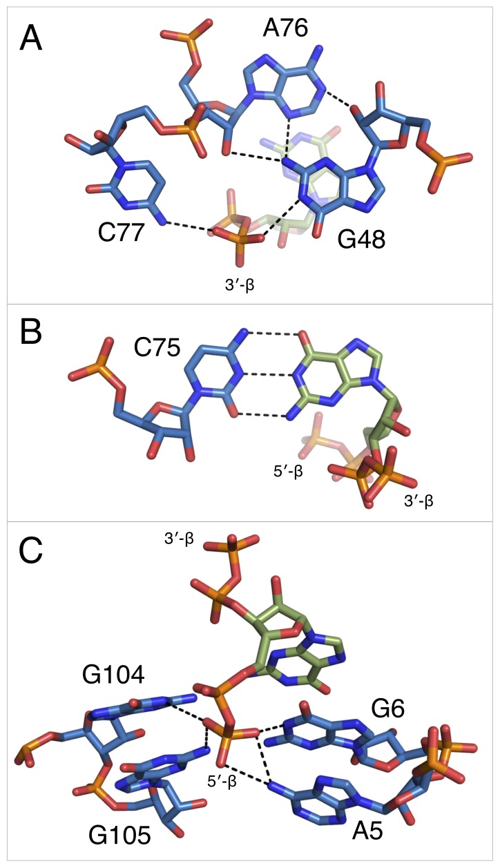 Figure 5.