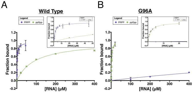 Figure 1—figure supplement 2.