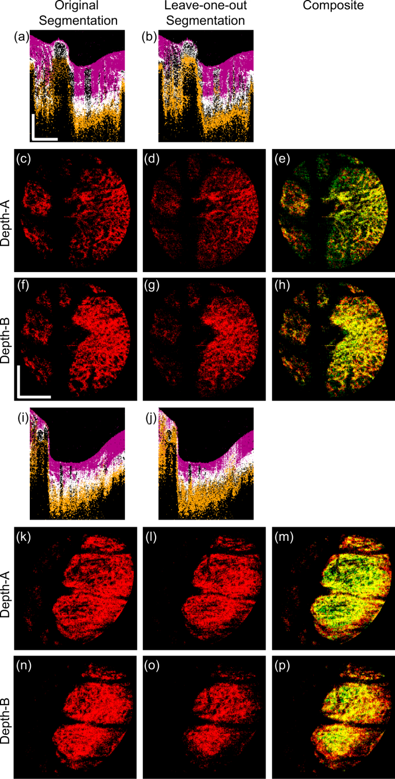 Fig. 7