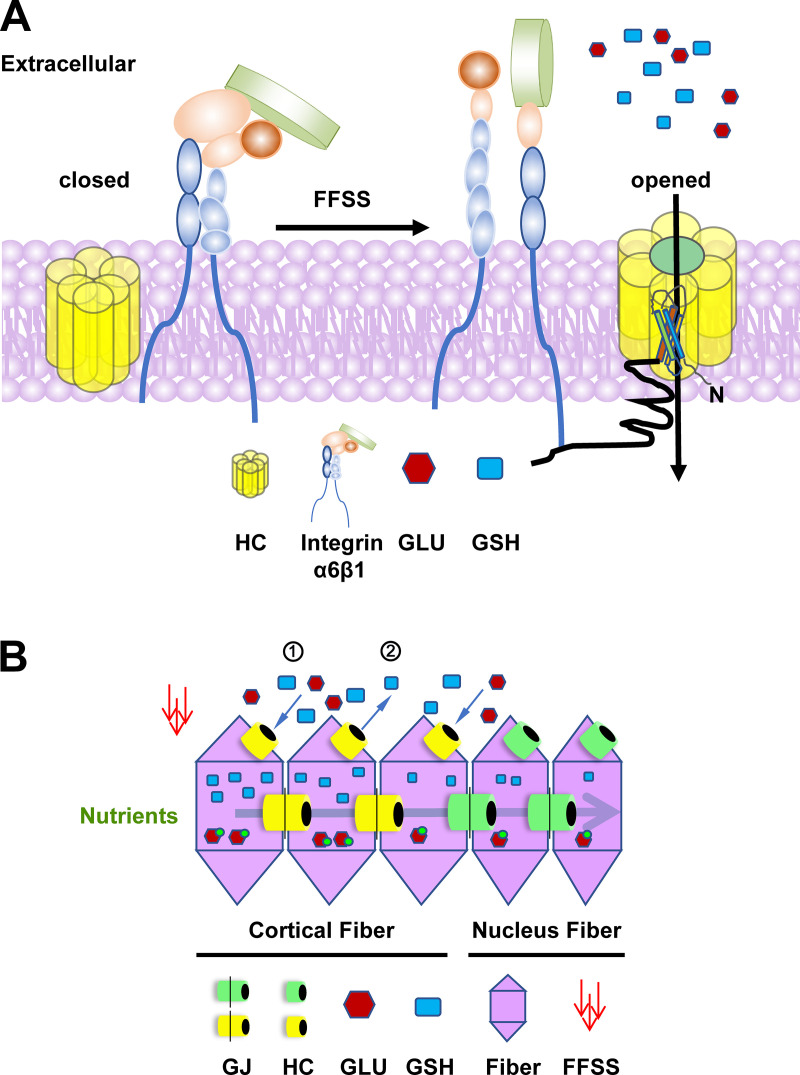 Figure 9.