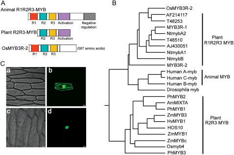 Figure 2.