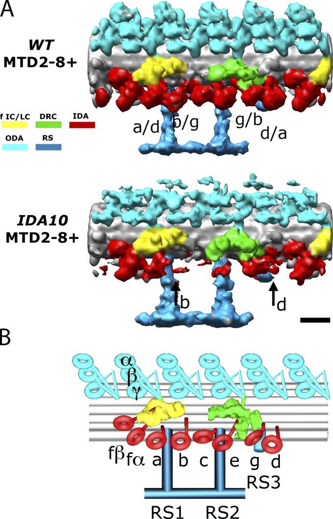 Figure 2.