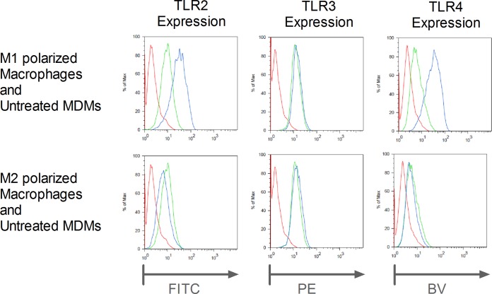 FIG 3