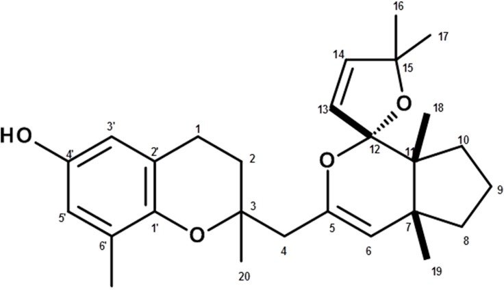 Figure 7