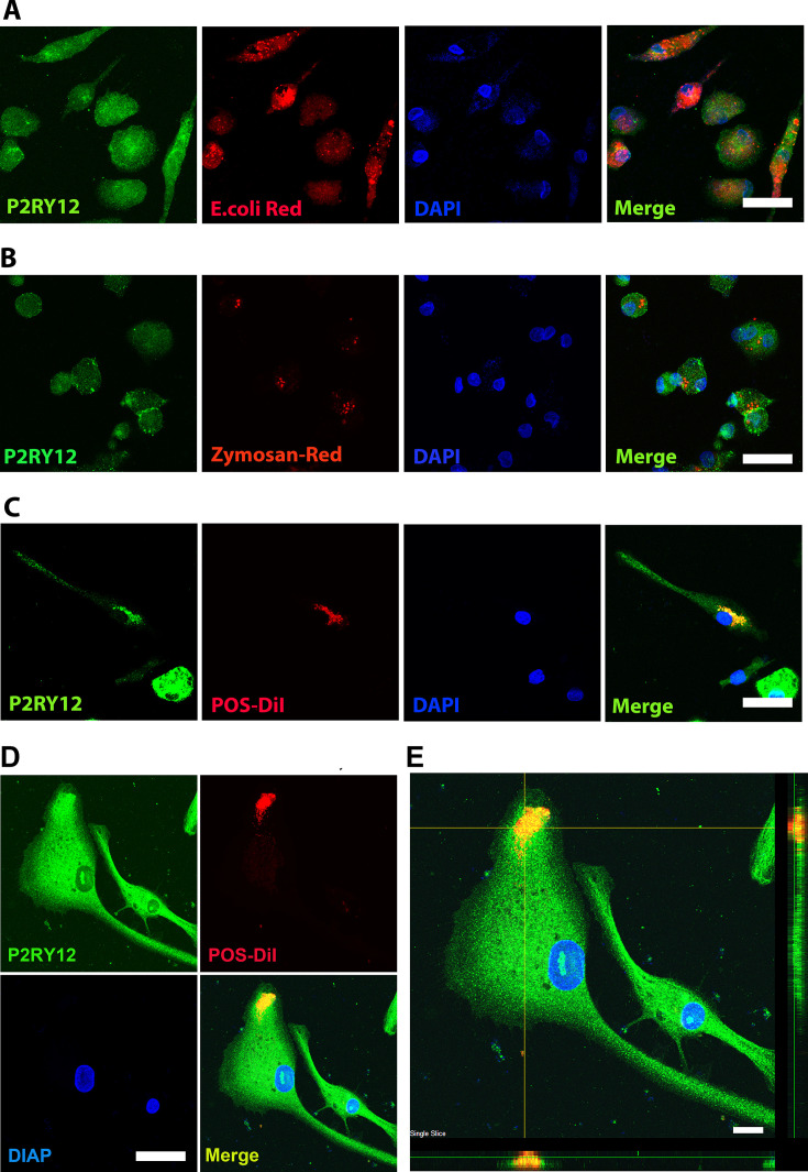 Figure 4.