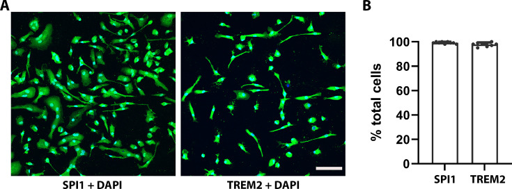 Figure 1—figure supplement 1.