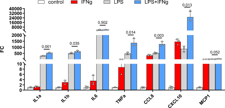 Figure 3—figure supplement 1.