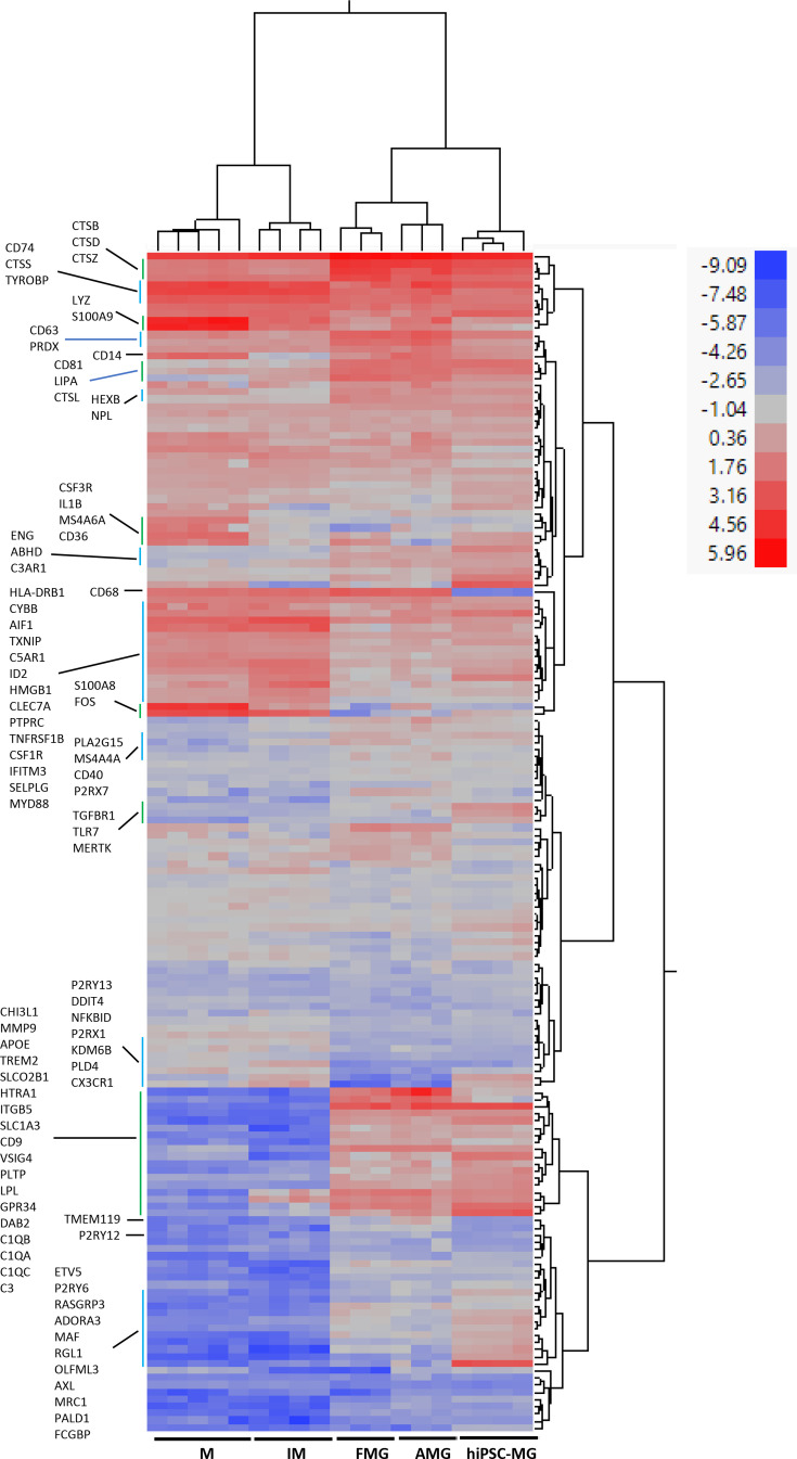 Figure 2—figure supplement 2.