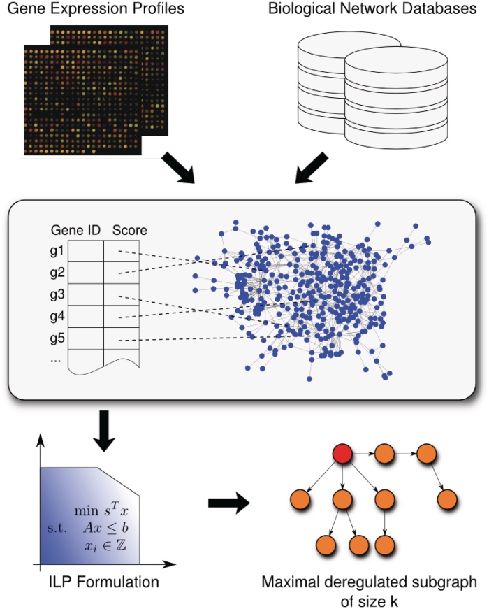 Figure 1.