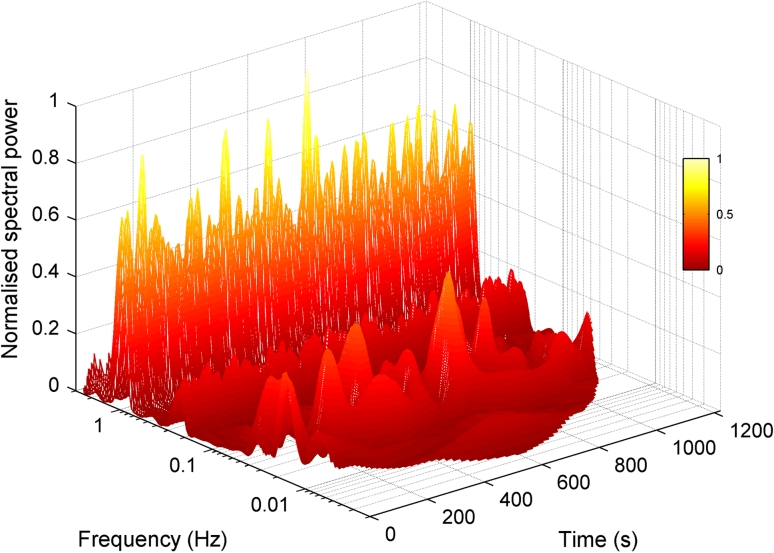 Fig. 1