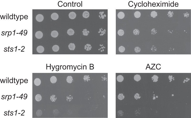 FIGURE 7.