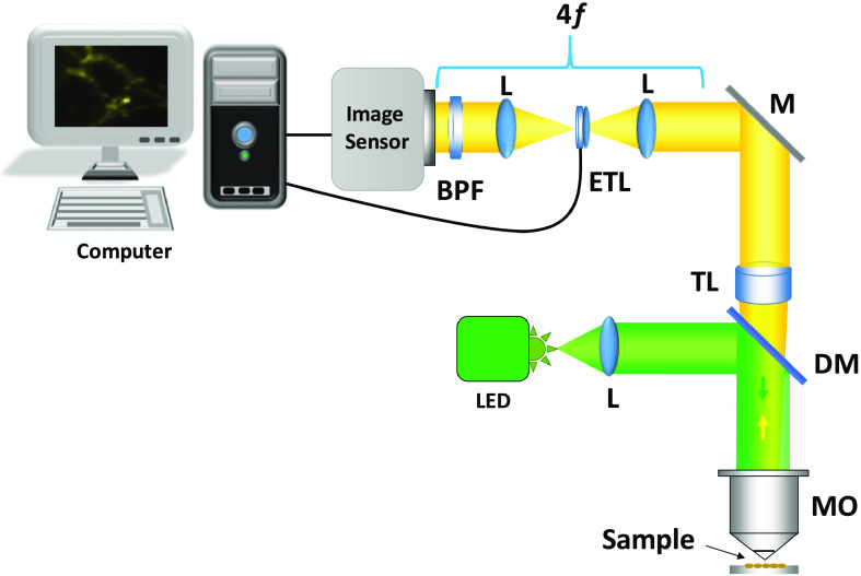 Fig. 1