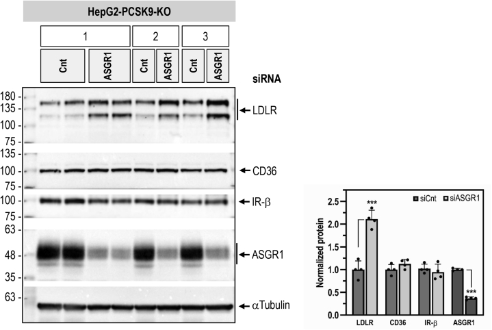 Figure 10