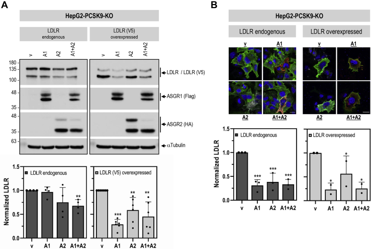 Figure 6