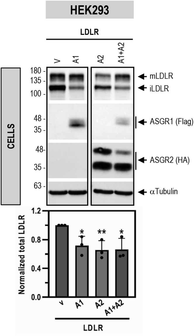 Figure 7