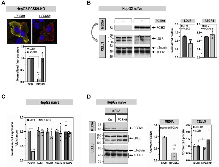 Figure 2