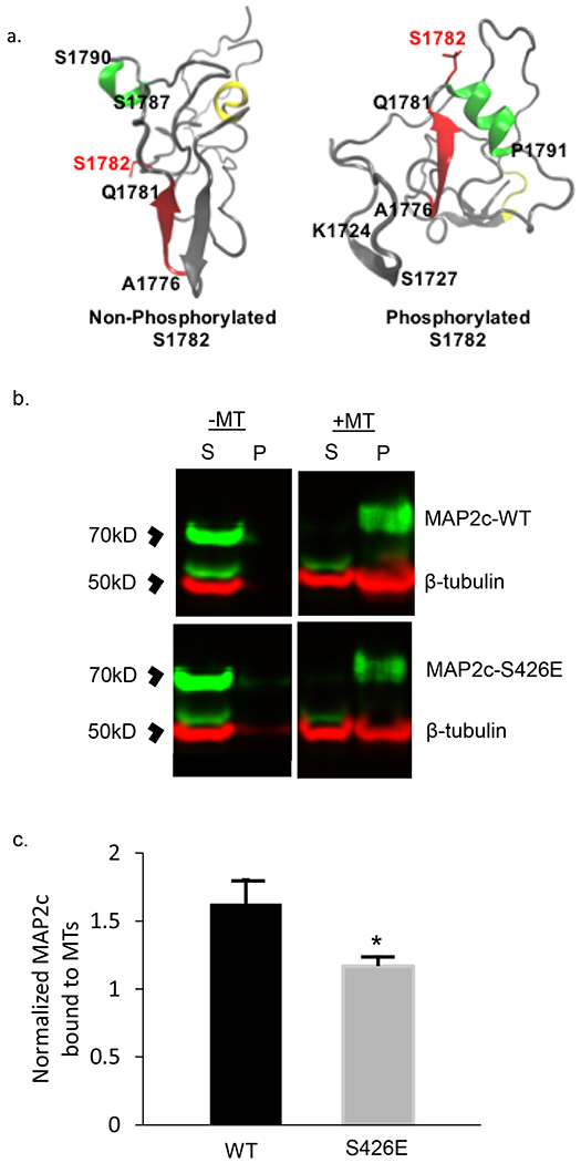 Fig 3.