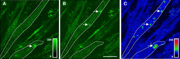 Figure 3.