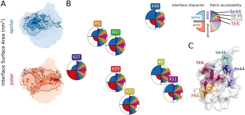 Fig 5