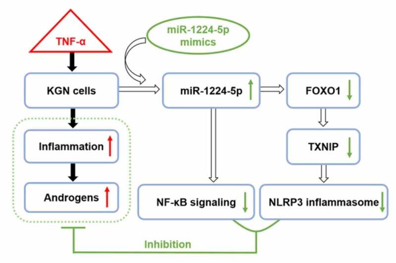 Figure 6.