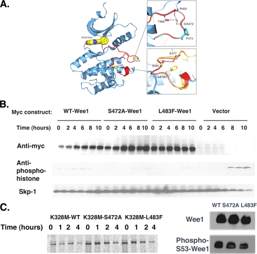 FIGURE 4.