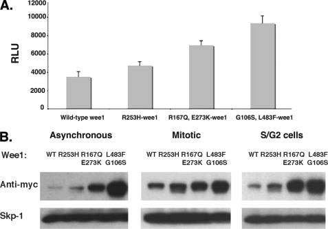 FIGURE 1.