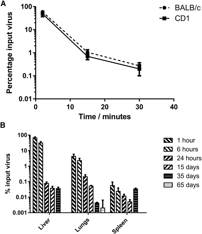 Figure 6