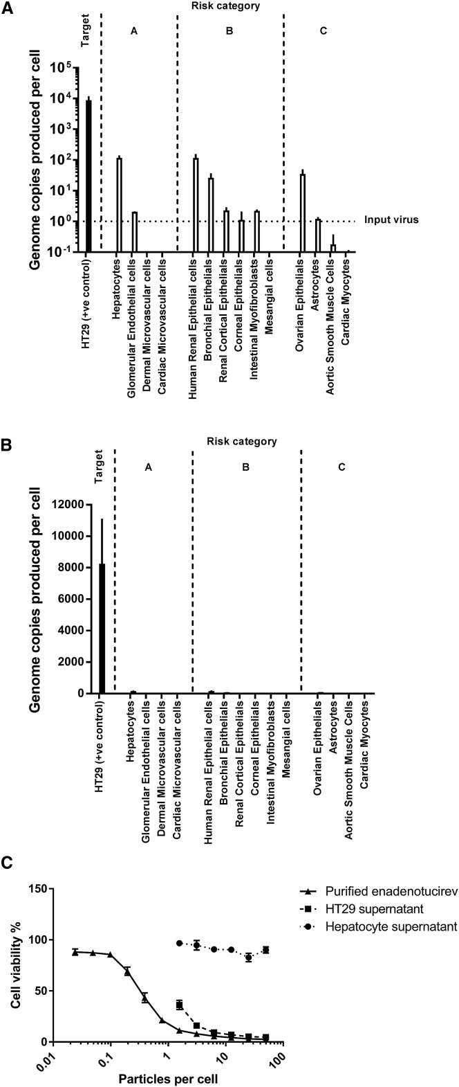 Figure 5