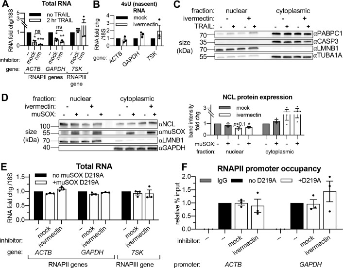 Figure 5—figure supplement 1.