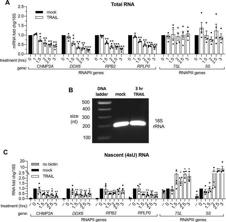 Figure 1—figure supplement 1.