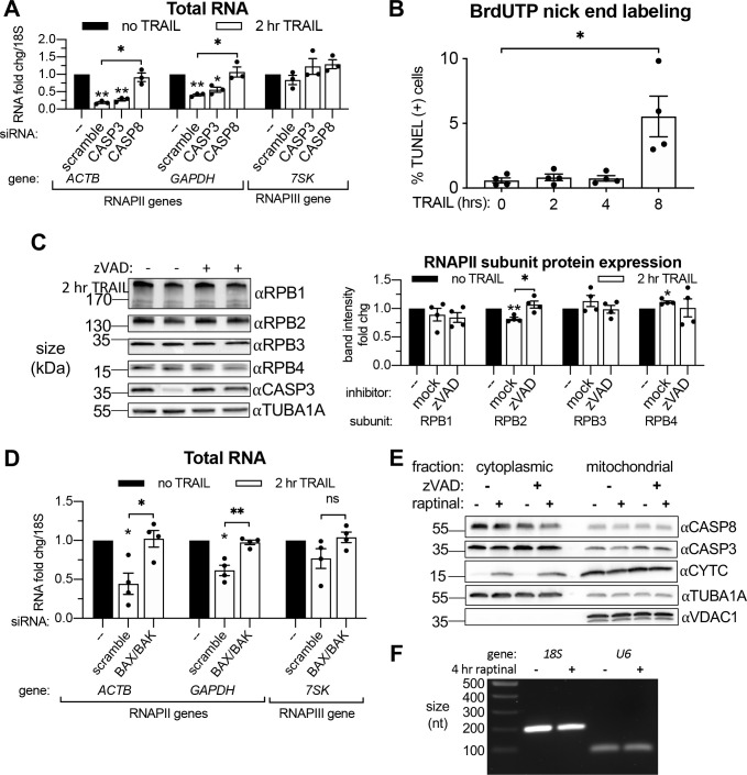 Figure 3—figure supplement 1.