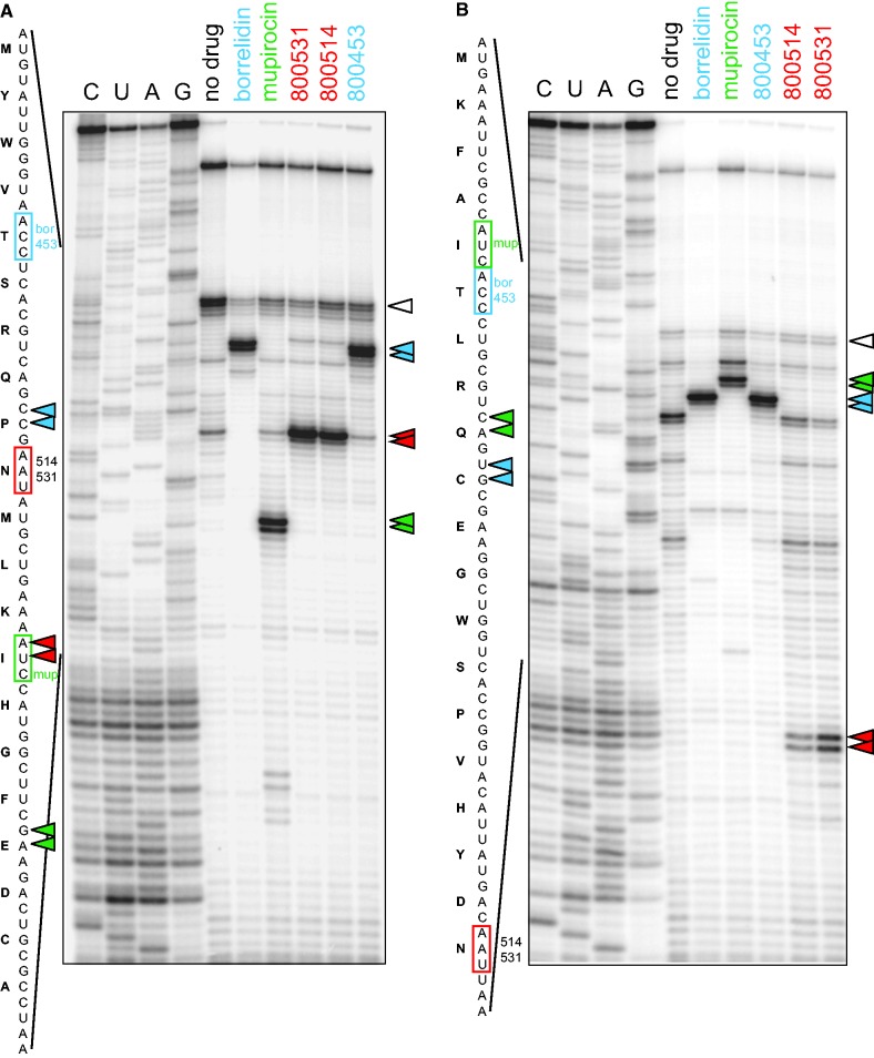 Figure 3.