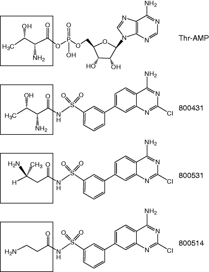 Figure 5.