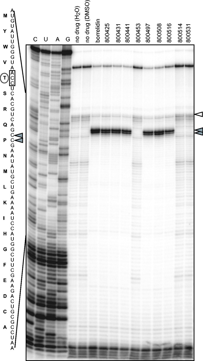 Figure 2.