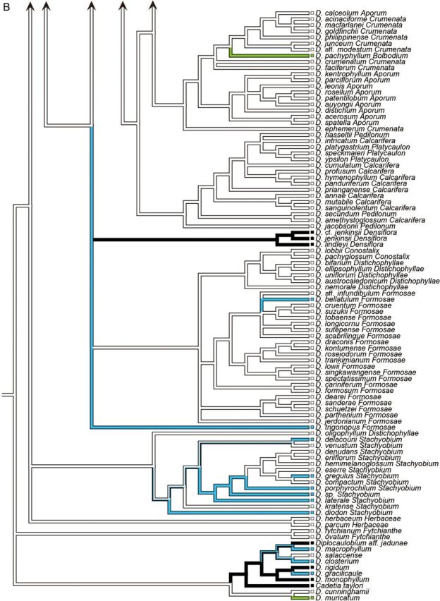 Figure 2.