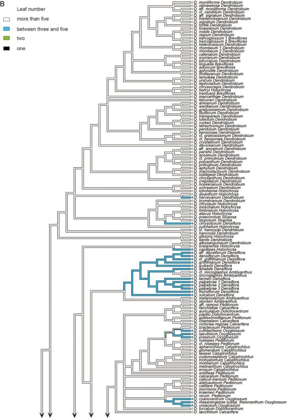 Figure 2.