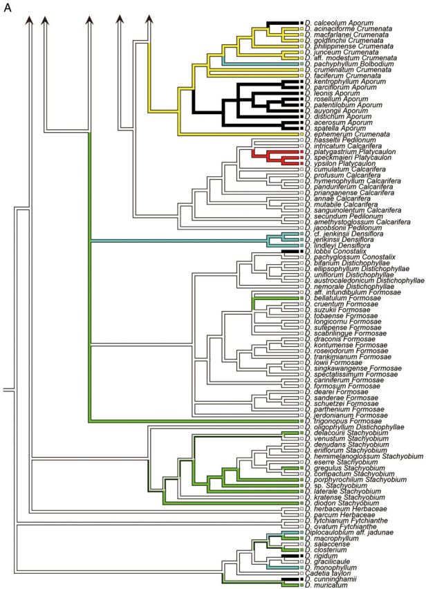 Figure 2.