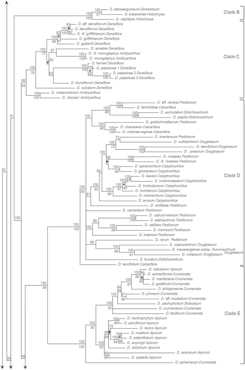 Figure 1.