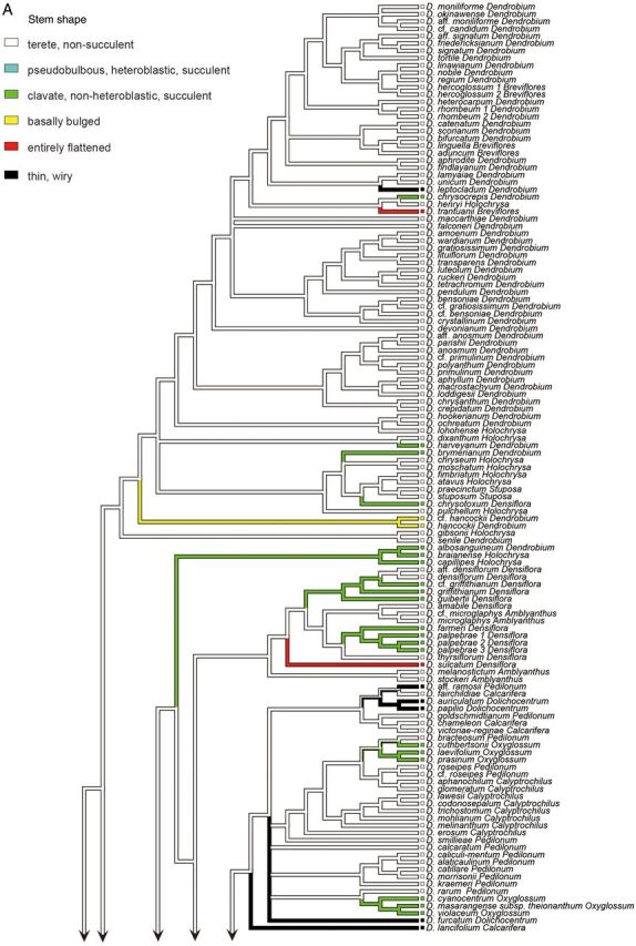 Figure 2.