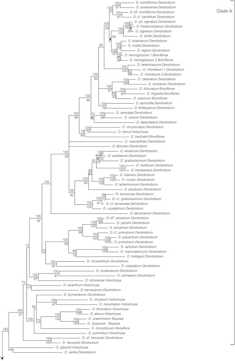 Figure 1.