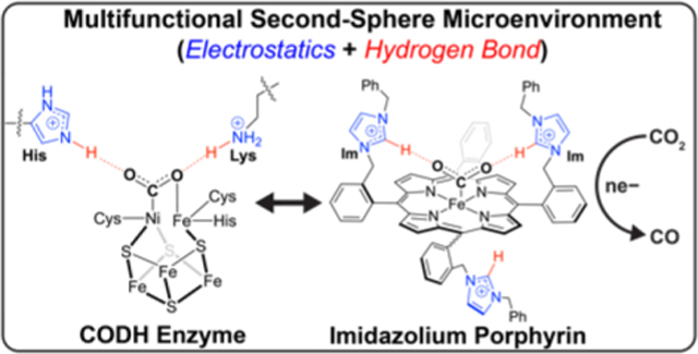 graphic file with name nihms-1826421-f0001.jpg